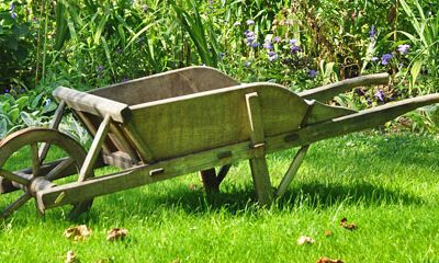 «Votez Brouette! »